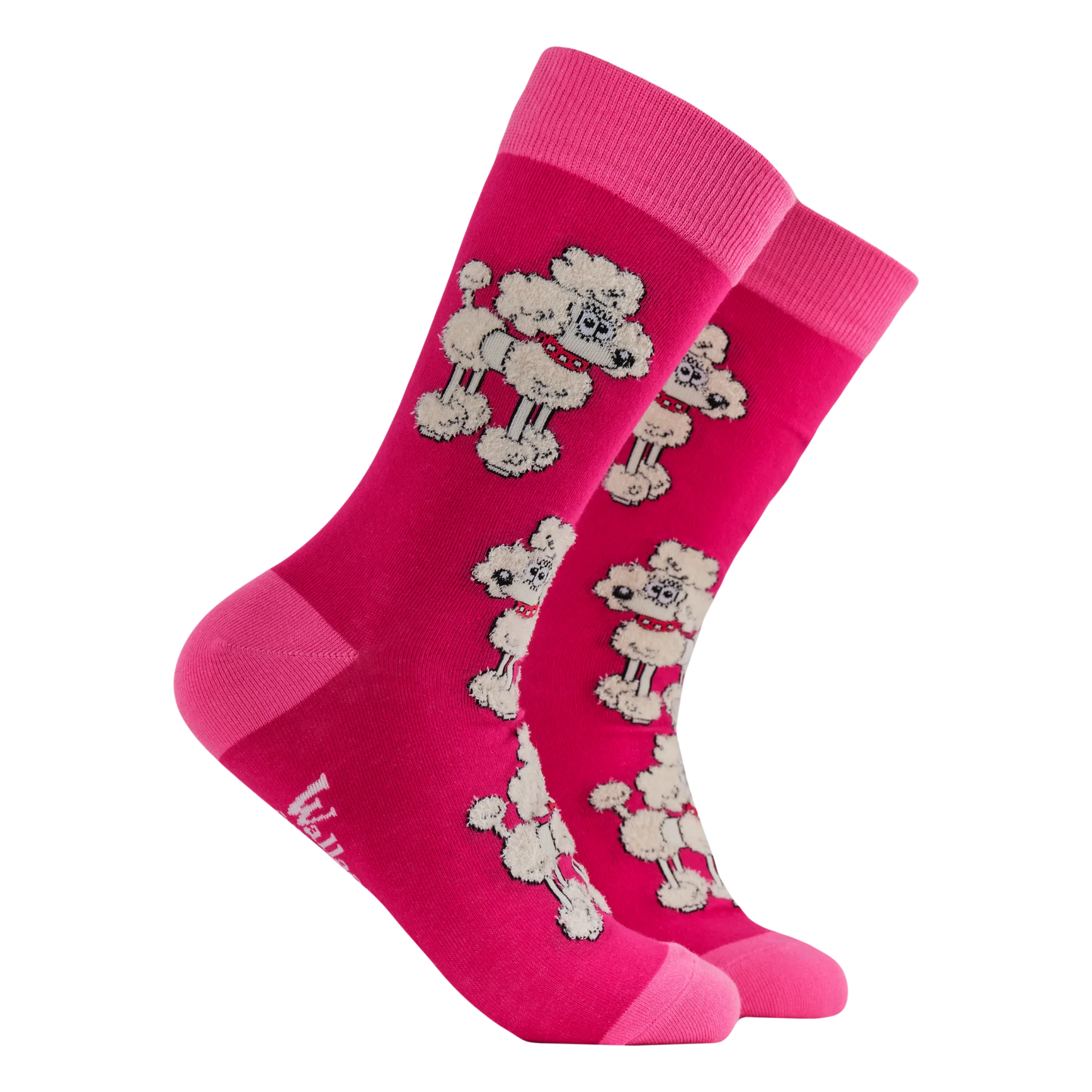 Fluffy Fluffles Socks - SOCKTOPUS X Wallace & Gromit 4-8