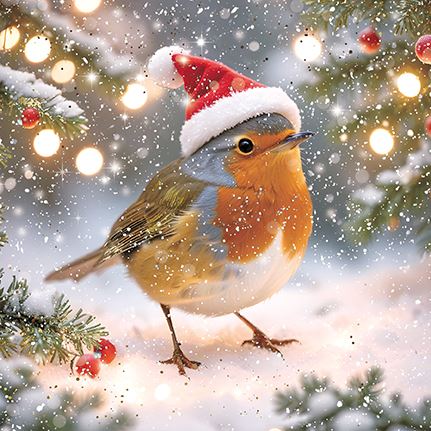 Darkroom - Robins in Santa Hats