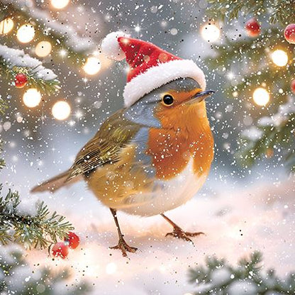 Darkroom - Robins in Santa Hats