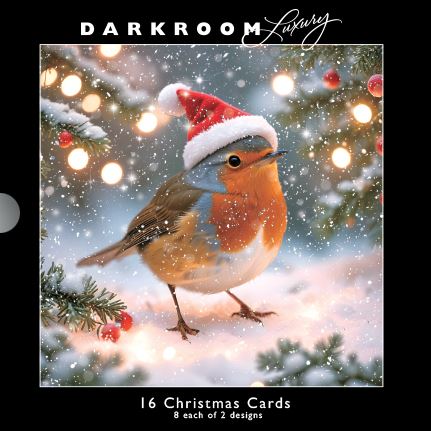 Darkroom - Robins in Santa Hats