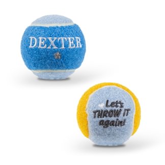 Personalised Dog Ball