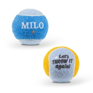 Personalised Dog Ball