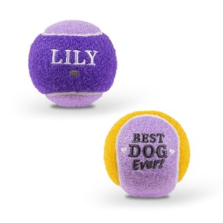Personalised Dog Ball