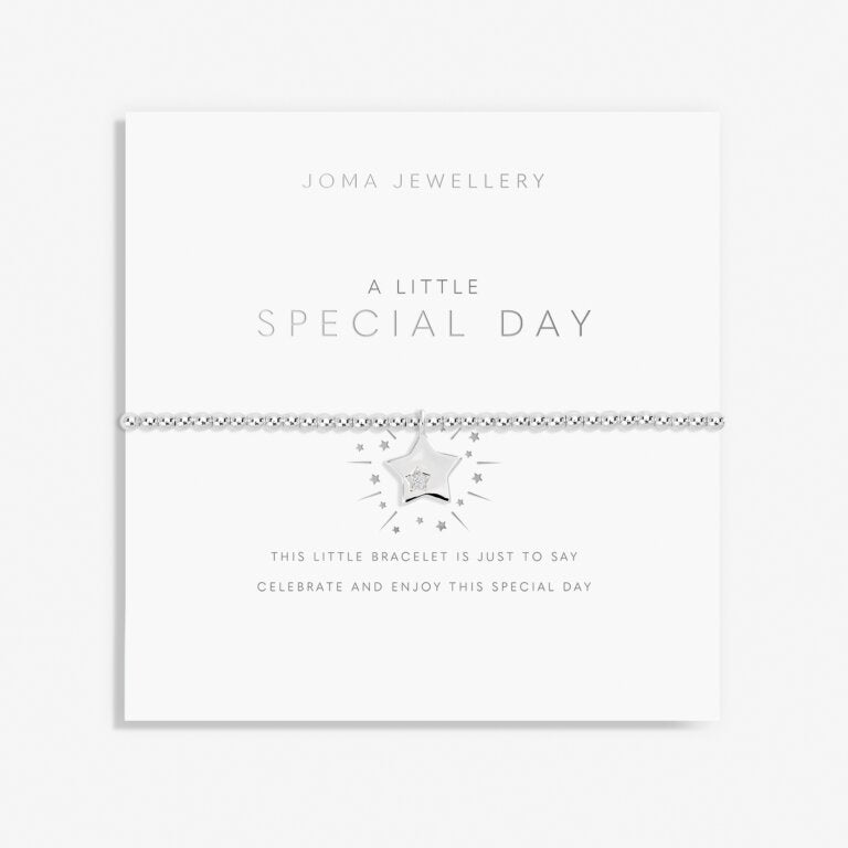 A Little 'Special Day ' Bracelet