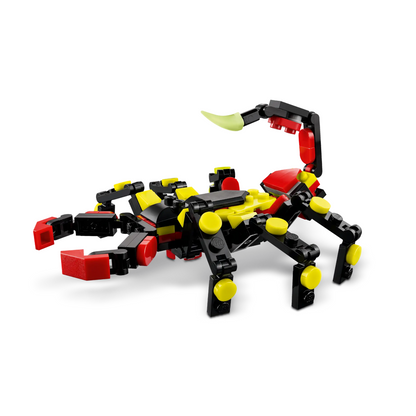 Wild Animals: Surprising Spider - 31159