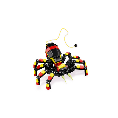 Wild Animals: Surprising Spider - 31159