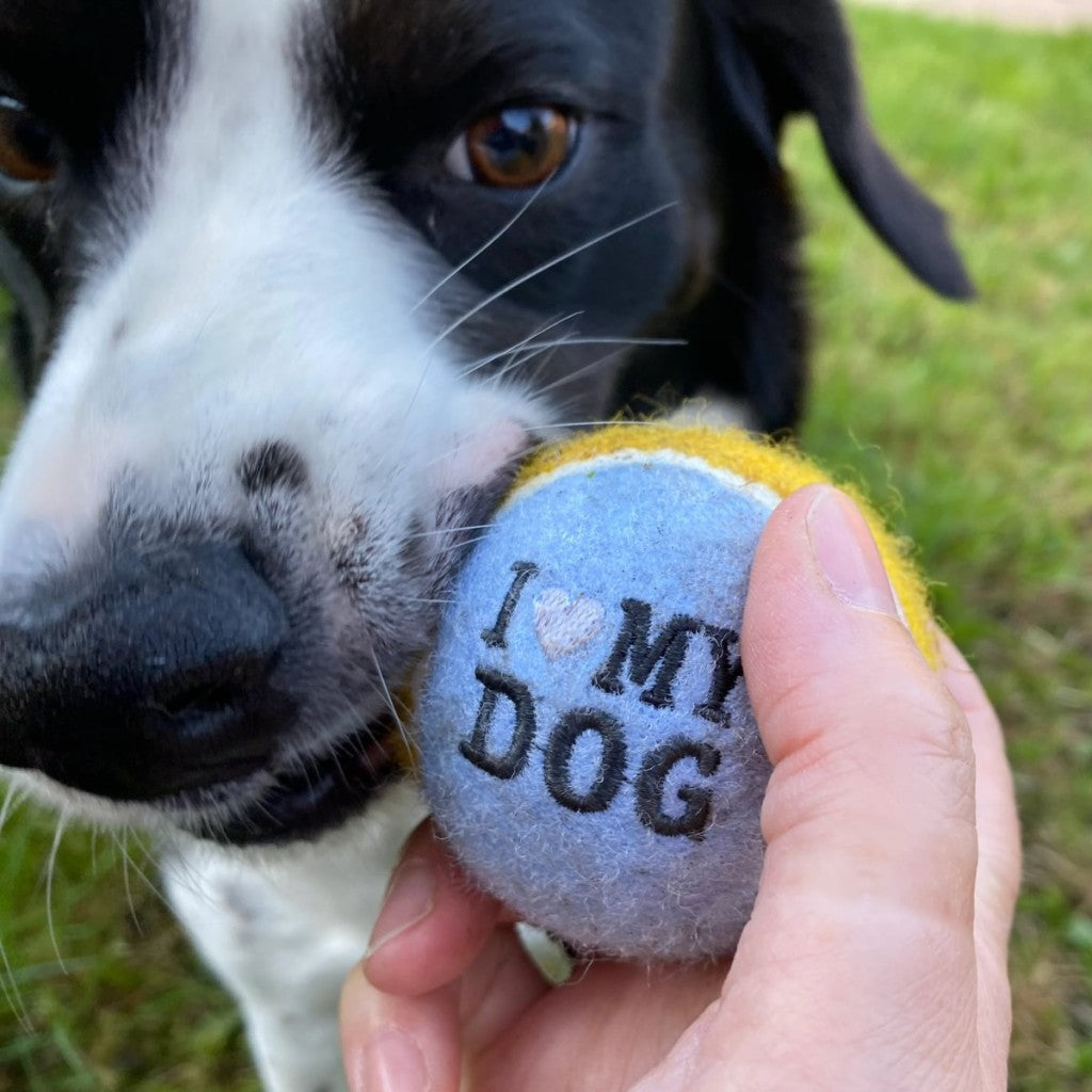 Personalised Dog Ball
