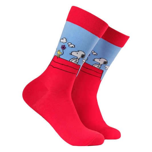 Snoopy and Woodstock Socks - Size 9-12