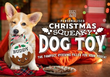Personalised Christmas Squeaky Dog Toy